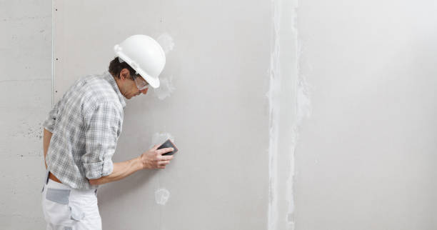 Mold Odor Removal Services in Ault, CO