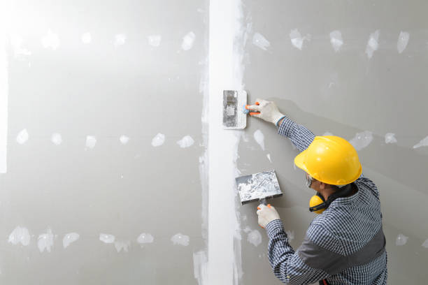 Best Mold Damage Restoration  in Ault, CO