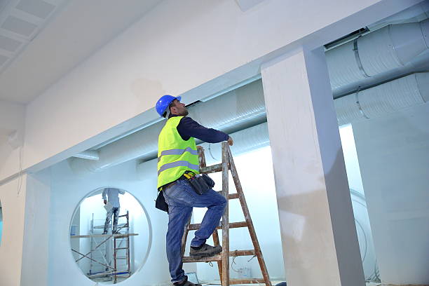Trusted Ault, CO Mold Removal Experts