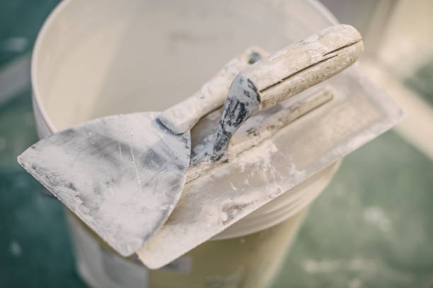 Forensic Mold Investigation in Ault, CO